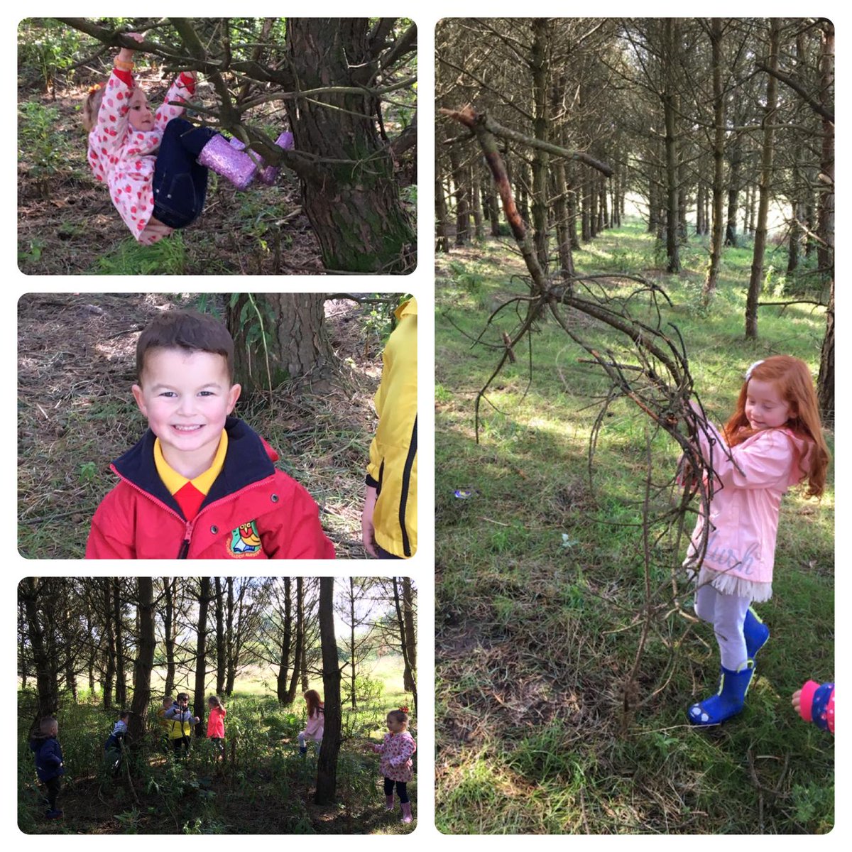RochsollochN's tweet photo. #FridayForestFun π³ https://t.co/W5BPFqWF0c