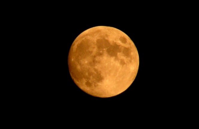 09_Seunghee's tweet photo. Blood rose moon is begin 🌕 https://t.co/vjQCAHcOPz