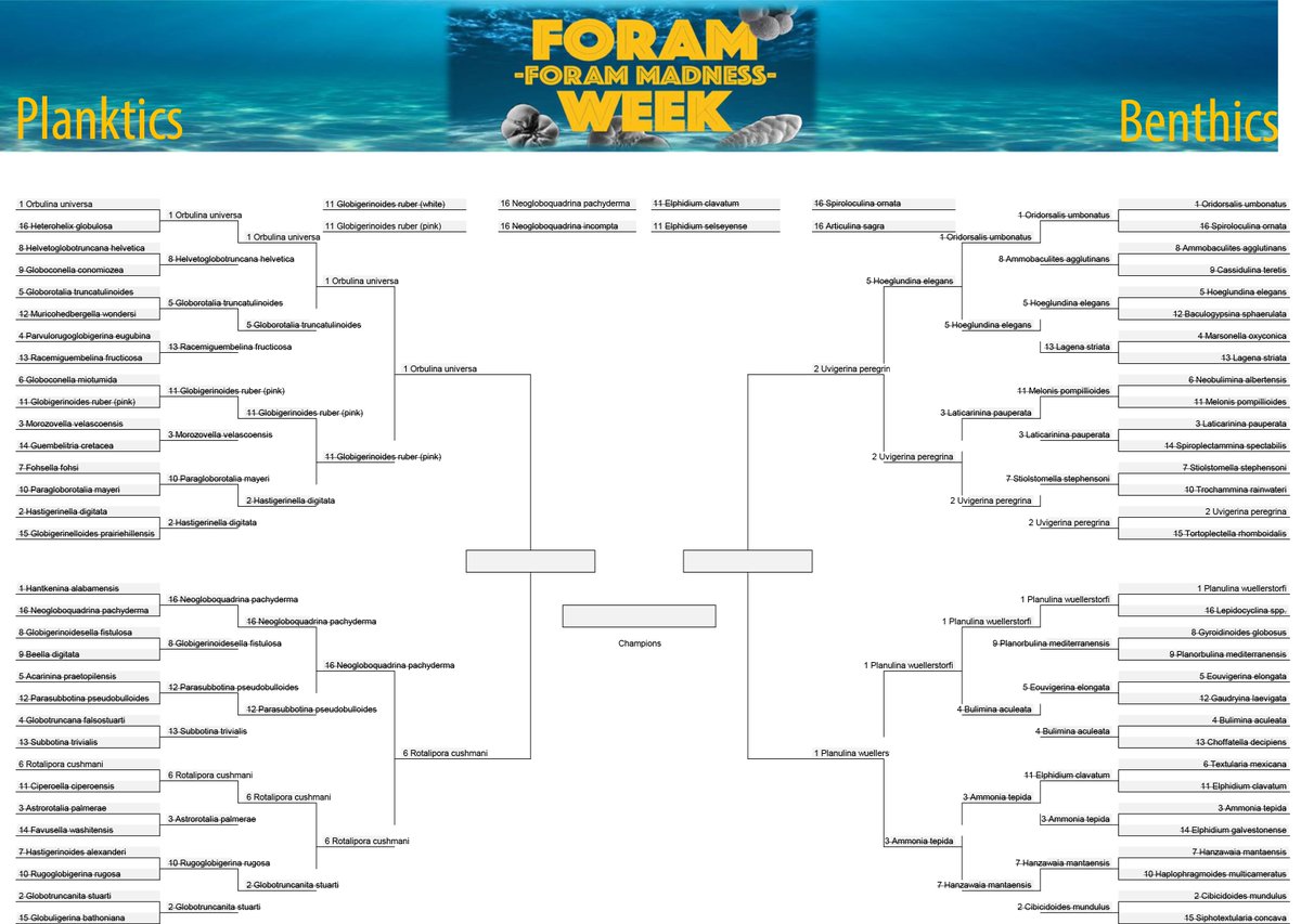 ForamWeek's tweet photo. It's the FINAL FOUR of the #ForamWeek BEST FORAM TOURNAMENT!
👇VOTE VOTE VOTE VOTE VOTE VOTE VOTE👇 https://t.co/Iz50tyyoi4