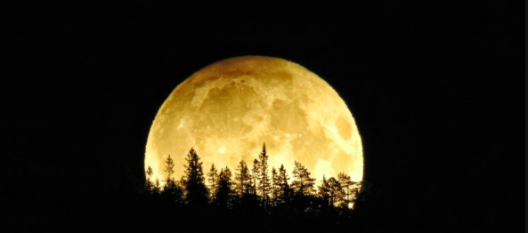 ELanghorst's tweet photo. What you say? A Friday the 13th on the same day as a full moon? We got this middle school teachers! #LifeInTheMiddle https://t.co/CAofeCOrY3