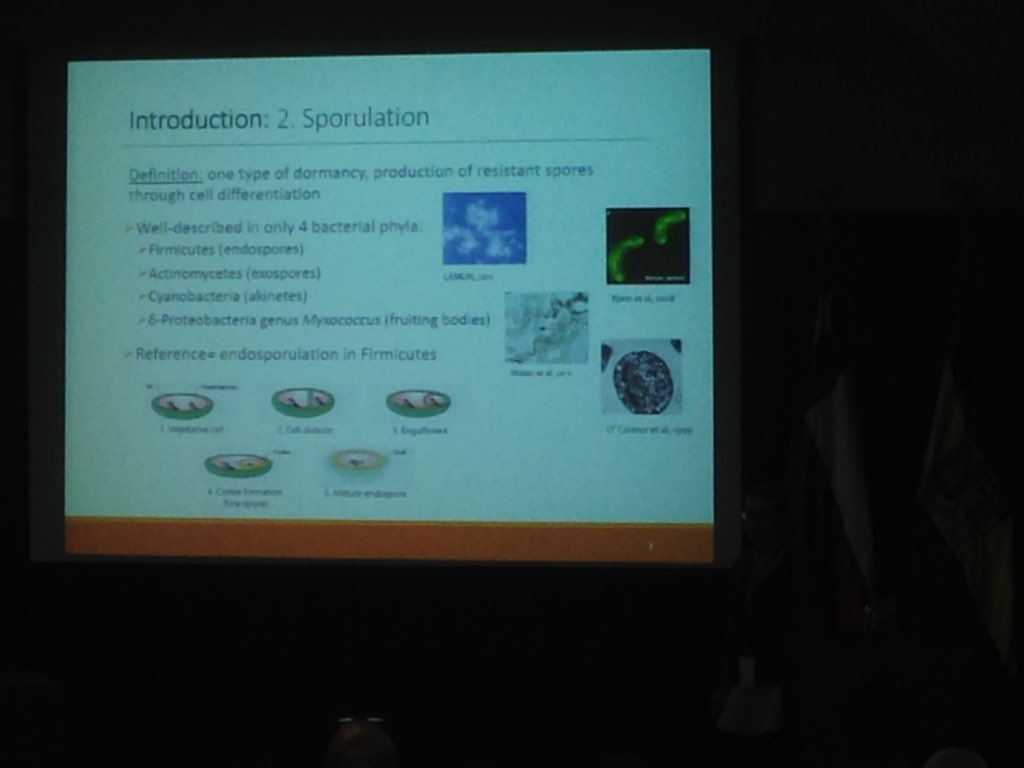 Vicky Flechas, PhD tweet media