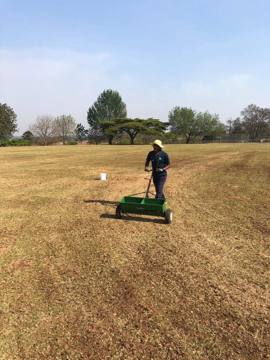 Talking_Turf's tweet photo. #Seeding with #Gobi #Bermuda grass @ Uplands Preparatory School🌱
#SemillasFito #TalkingTurf #Gobi #Ryder #Primo #Qualibra #SubdueMaxx https://t.co/TXdtN8x8xE