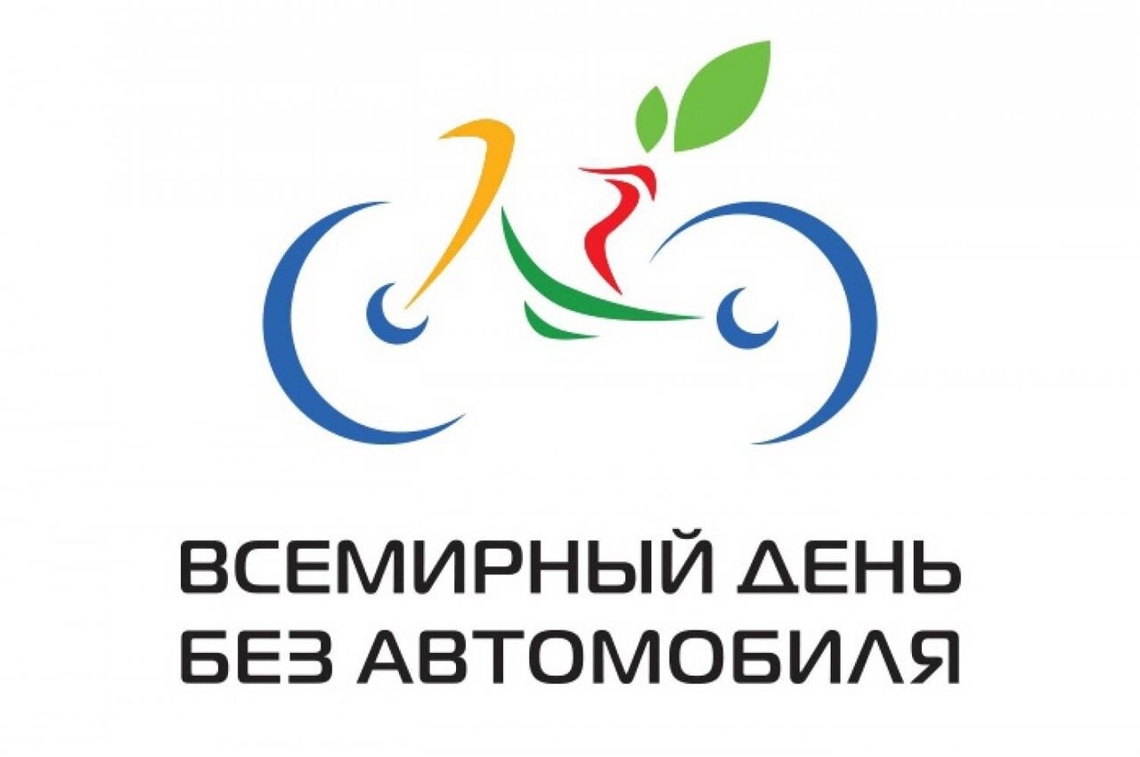 Всемирный день без автомобиля картинки, пожарного картинки высокого