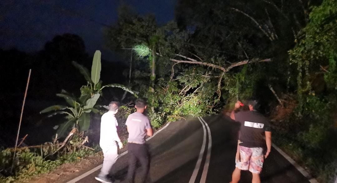 madiustangau's tweet photo. Jam 7.45pm tadi ada kawan menghantar maklumat, akibat angin kuat kayu tumbang laku menghalang laku Lintas di Kg Tompinahaton, Kiulu. Saya maklumkan kpd pihak JKR untuk tindakan selanjutnya. #JKR @UPKOTuaran @UPPMn.11Kiulu @TuaranMP170 https://t.co/SN76xsdcIs