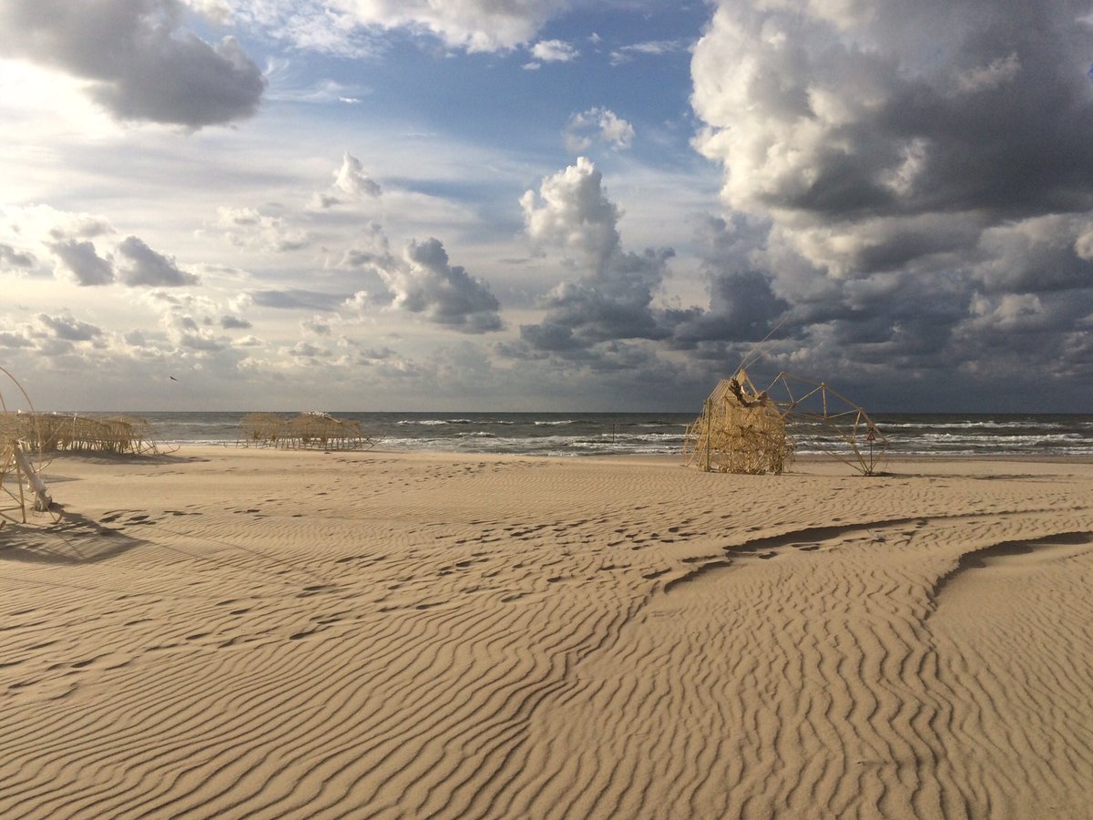 rapsodiafestiva's tweet image. I'm happy that Theo Jansen created them.
📷 #Strandbeests 24/8/2018