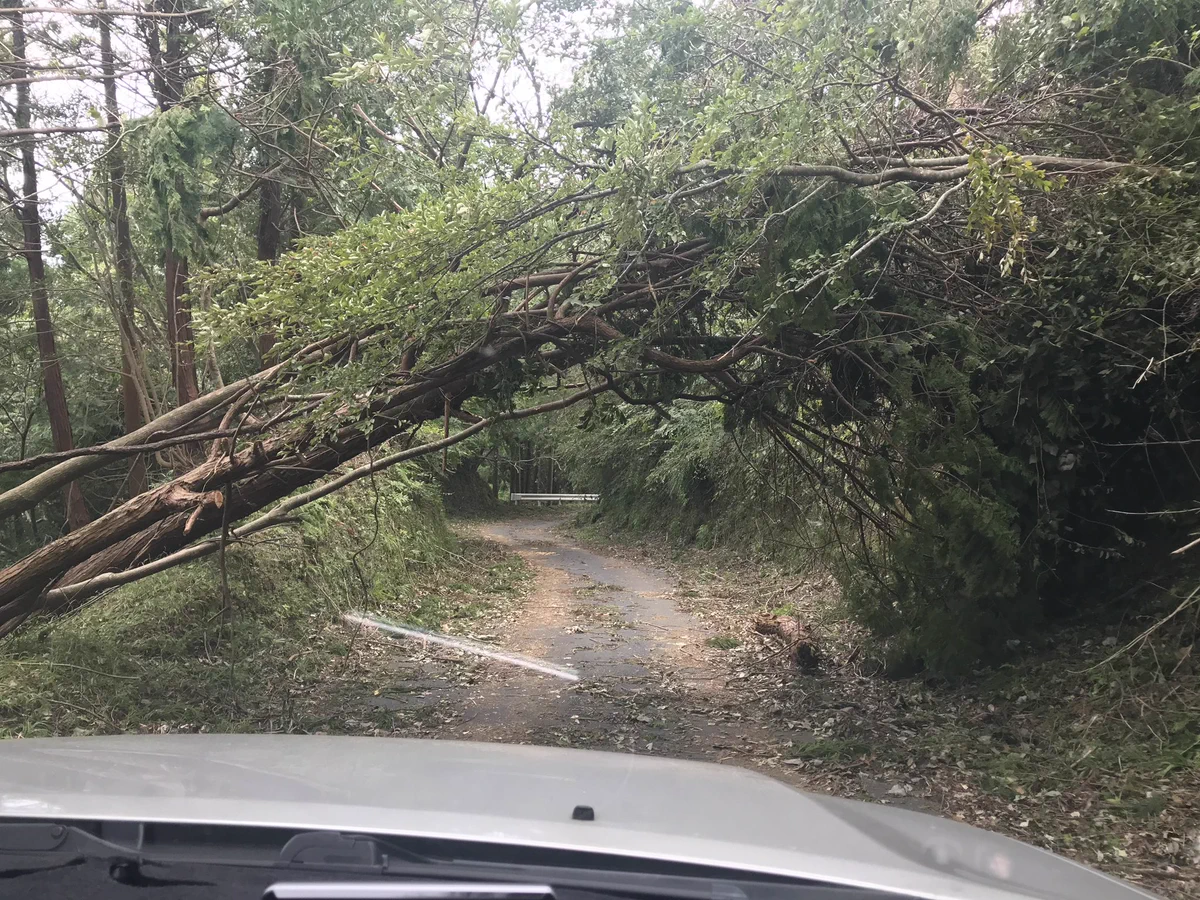 東電が可哀想！！この画像見て責めれるか？？
