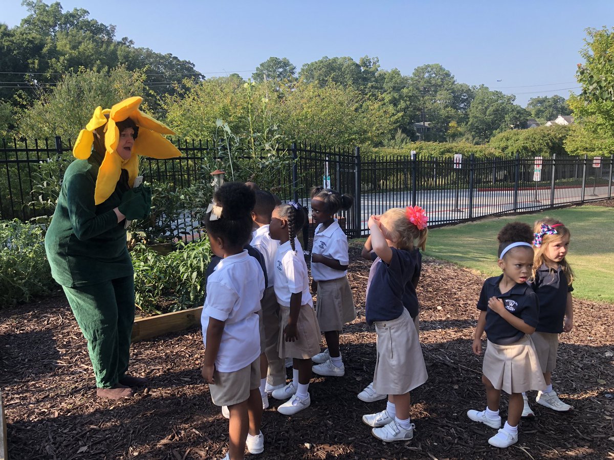 Hailey Little tweet media