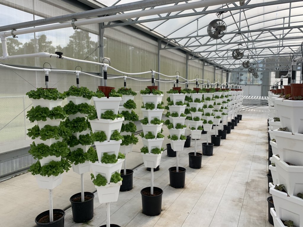 VHS hosts one of the largest school-based greenhouses in Florida!  Our Farm to School program allows us to grow fresh produce that goes directly to our school lunch program!  Mr. Rhoden’s students were busy planting pepper seedlings today!!!  <a href="/KinardsConnect1/">Kinard’s Connections</a> <a href="/CTEmarion/">Marion County CTE</a>