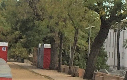 SOSterritorios's tweet photo. ⚠️🎤🎸🆘🌳CONCIERTOS en el MONASTERIO CARTUJA-Sevilla:
Están acabando con un PATRIMONIO VERDE único y singular.
Talan para dejar más espacio a barras, escenarios, público y W.C. portátiles que colocan incluso junto al OMBÚ de 500 AÑOS y a las Acacias más antiguas de #Sevillahoy‼️ https://t.co/7qhBg8CzWu