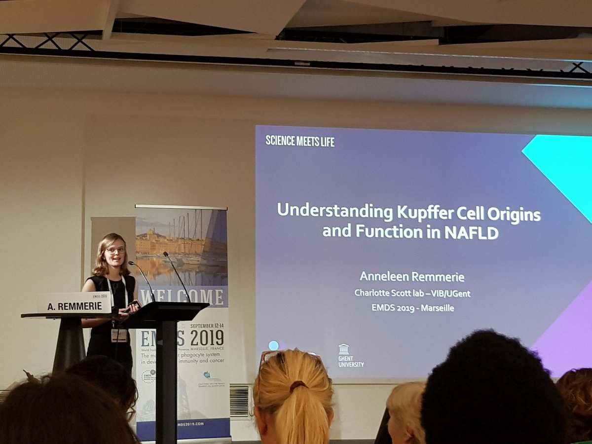 Great talk by @A_Remmerie at #EMDS2019 on Kupffer cells in NAFLD