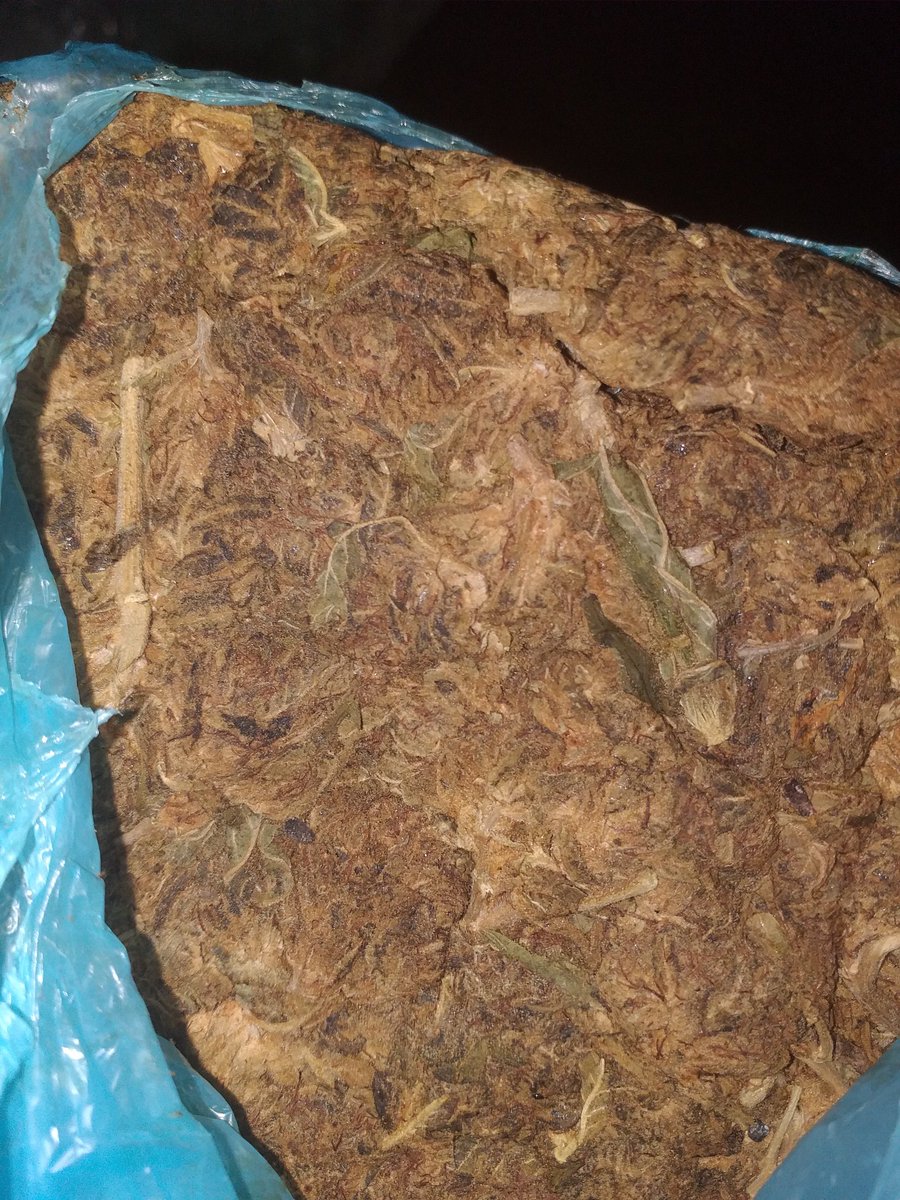 FatCapital762's tweet photo. Kank da melhor qualidade 🤤🤤 https://t.co/f71OXurOkj