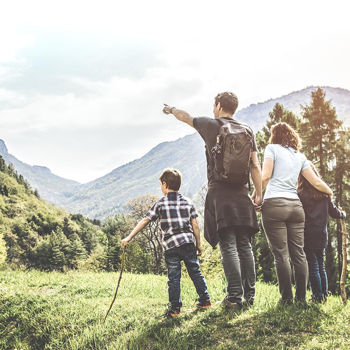 Une excellente fréquentation pour les montagnes françaises cet été. La destination tendance 2019 qui répond aux aspirations des familles : nature, authenticité, activités ludiques et sportives au grand air. 🚵‍ #Affiniski via Montagne News 👉 montagnenews.fr/article/un-ete…