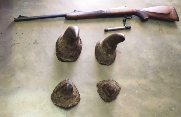 Mozambique: Two #rhino poachers sentenced to 19 &amp; 17 years respectively. Rapid response, coordinated effort &amp; evidence provided by national parks of Mozambique &amp; South Africa led to the arrest &amp; conviction bit.do/e8teV via <a href="/defenceWeb_Afr/">DefenceWeb</a>

#SeriousAboutWildlifeCrime