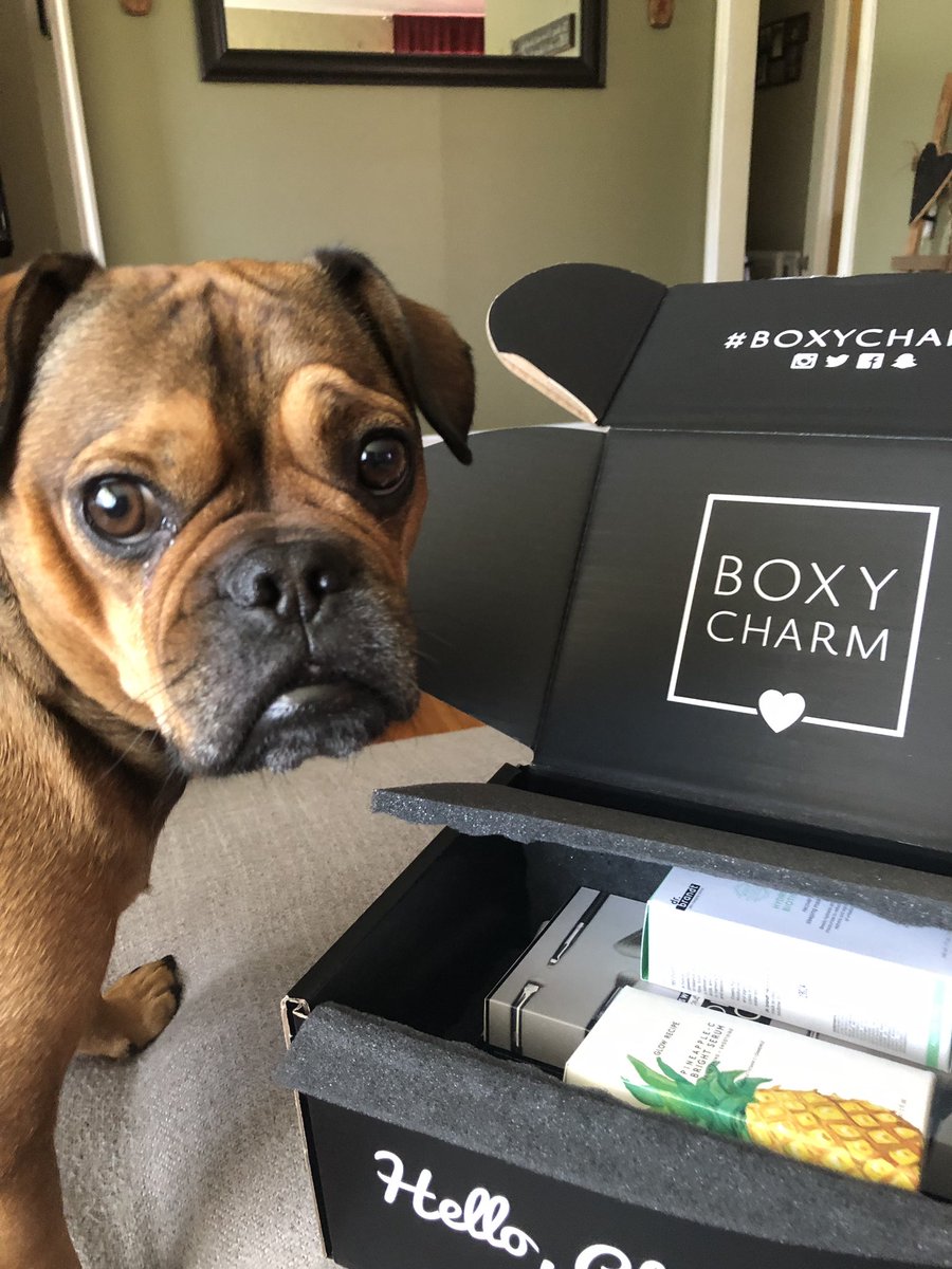laces22's tweet photo. Hi Mom, anything in there for me? 
#boxyluxeallaccess
#boxycharm
#boxypets 
@boxycharm https://t.co/xzjzbn98kL