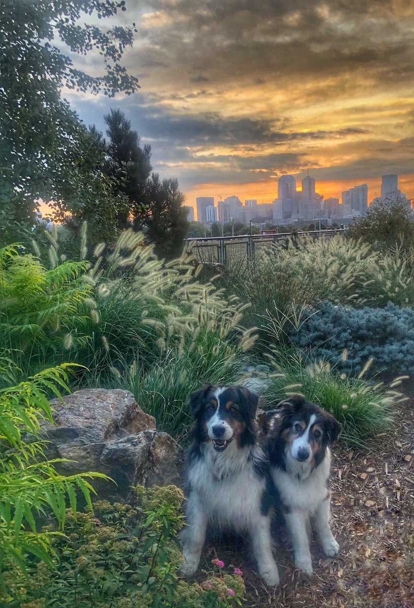 LLC712's tweet image. Mile High Sunrise #FridayThe13th #love