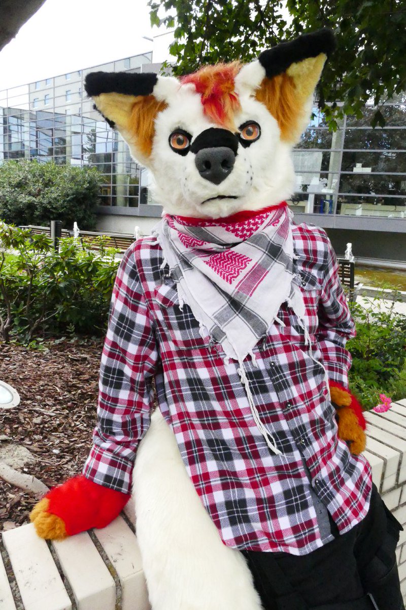 Raven_Haiyeena's tweet photo. Whadduuuuup,just chillin' x3
Photo by the amazing @AlxtonOne
Suit from the really talented @RedMoonHawk1
#FursuitFriday #fursuit #fox #justfox #EF25 https://t.co/86MXMRx3NV