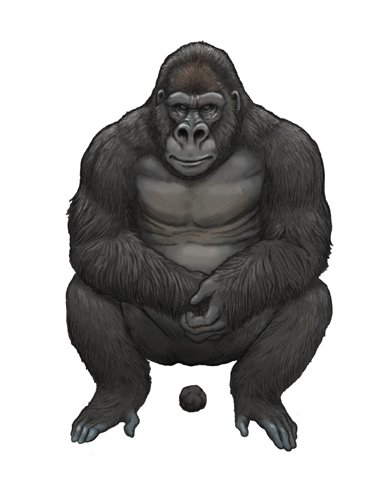 Twitter 上的 川崎悟司 今日は一日 ゴリラがウンチをしているイラストを描いていました T Co Yrlhirwqun Twitter Twitter 上的 川崎悟司 今日は一日 ゴリラがウンチをしているイラストを描いていました T Co Yrlhirwqun Twitter