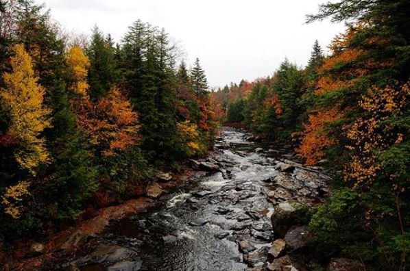West Virginia Tourism tweet media
