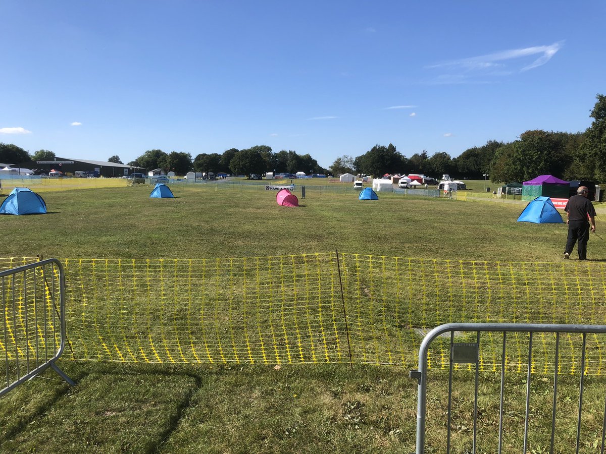 Search Dog Bonnie tweet media
