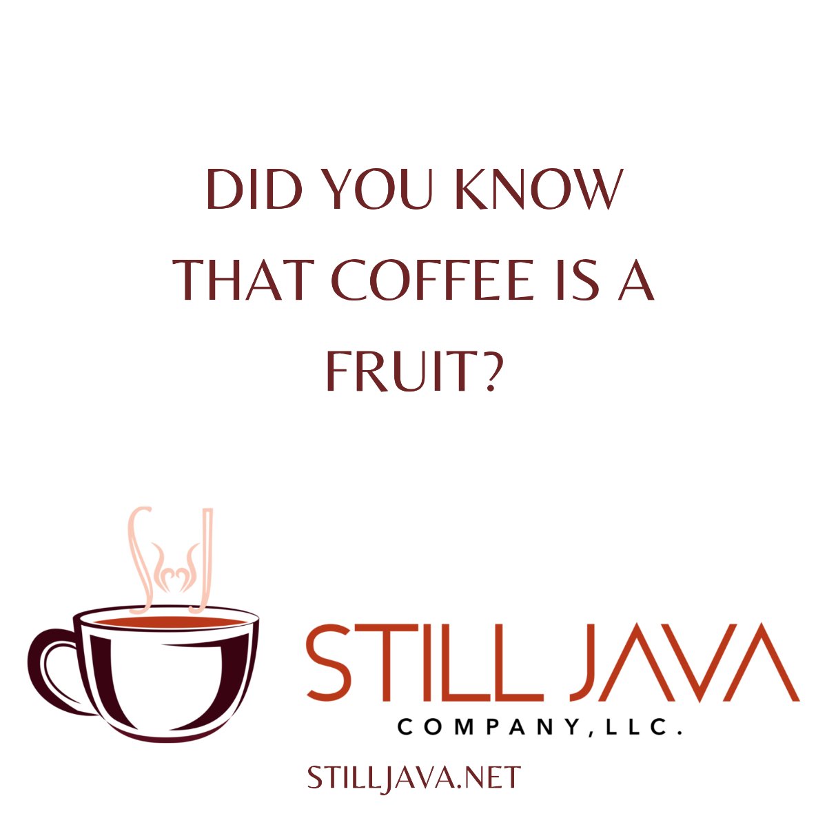STILL Java (@JavaStill) / Posts / X
