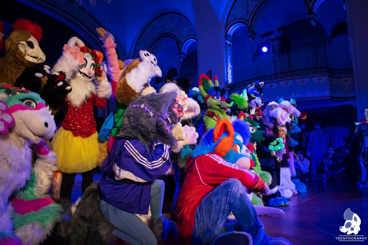 yeentography's tweet photo. Now here's a throwback! The wonderful dancers from the #ANE2019 Dance Competition! Happy #FursuitFriday everyone~! 🐶🐺🦊🐱🐯🐭 https://t.co/HnbnvTWe9q