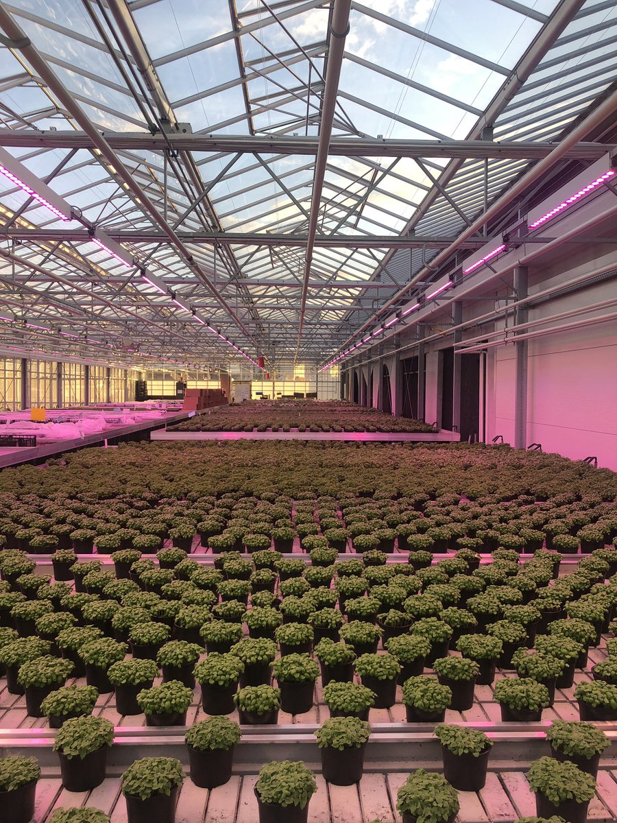 Gérard Benedetti tweet media