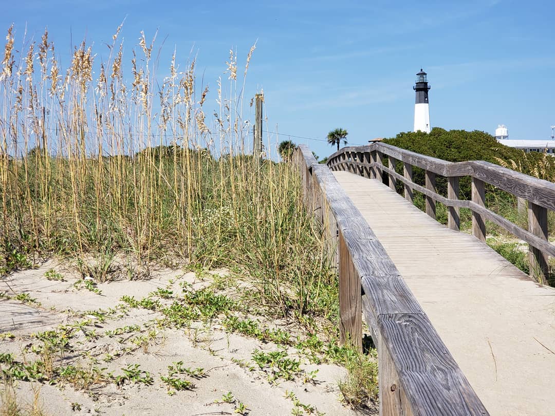 VisitTybee's tweet image. North Beach is the perfect spot for collecting seashells, spotting dolphins and watching cargo ships navigating the Savannah River. Which one is your favorite? bit.ly/2XuV6AJ