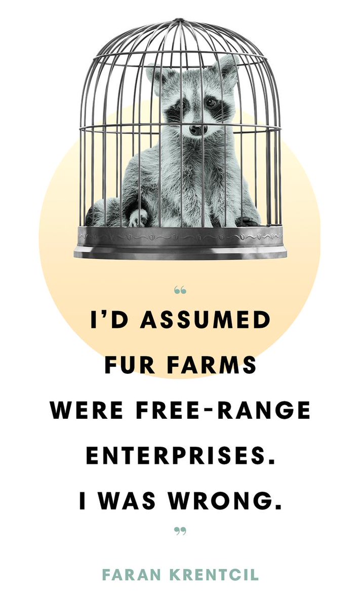 Is fur inherently animal cruelty? BAZAAR investigates the ongoing debate over long-lasting fur versus cheaply-made faux: bit.ly/2mhfuVh