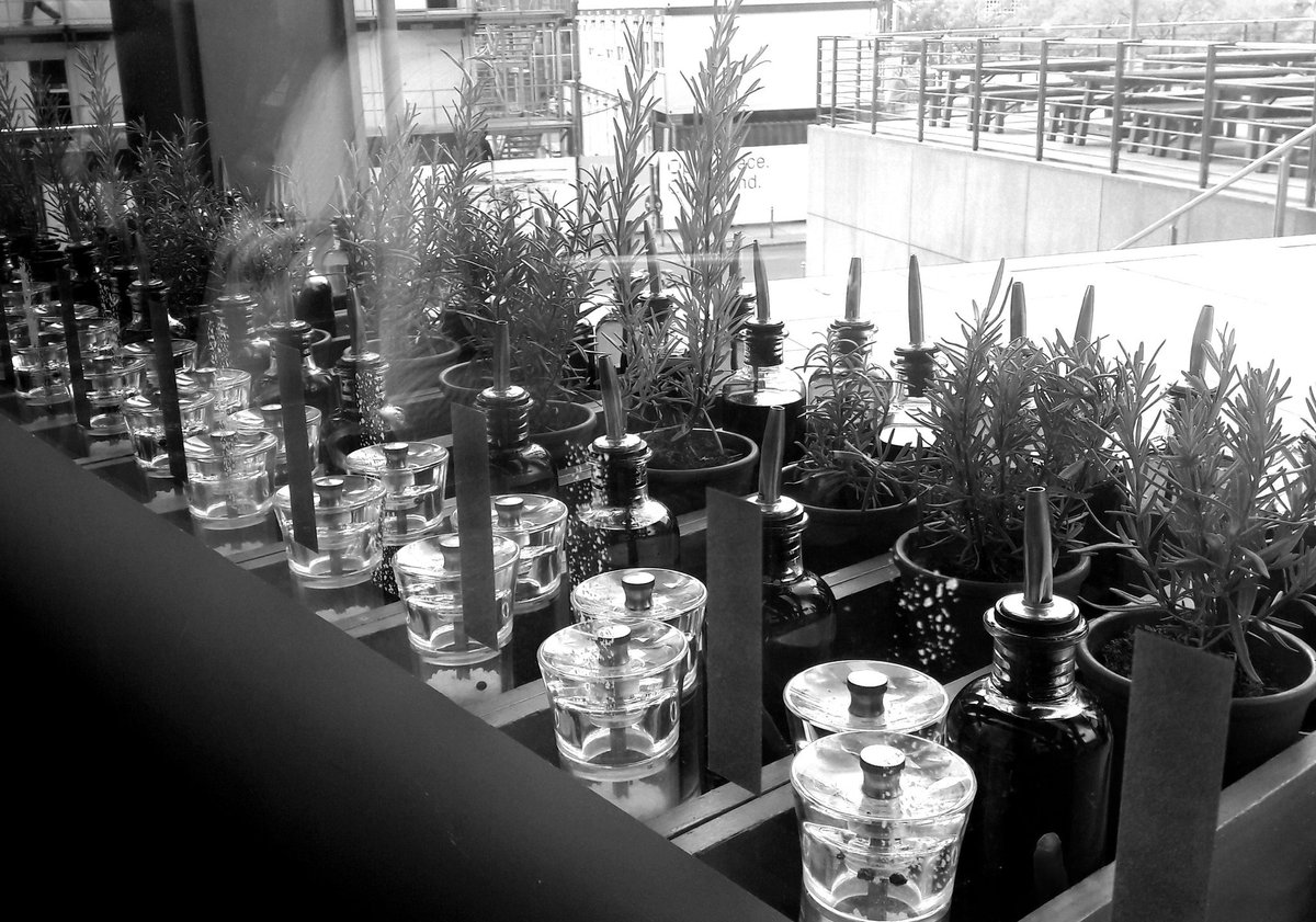 Schatz, hol den Pfeffer rein. Es wird Winter. #berlinmoment #winteriscoming