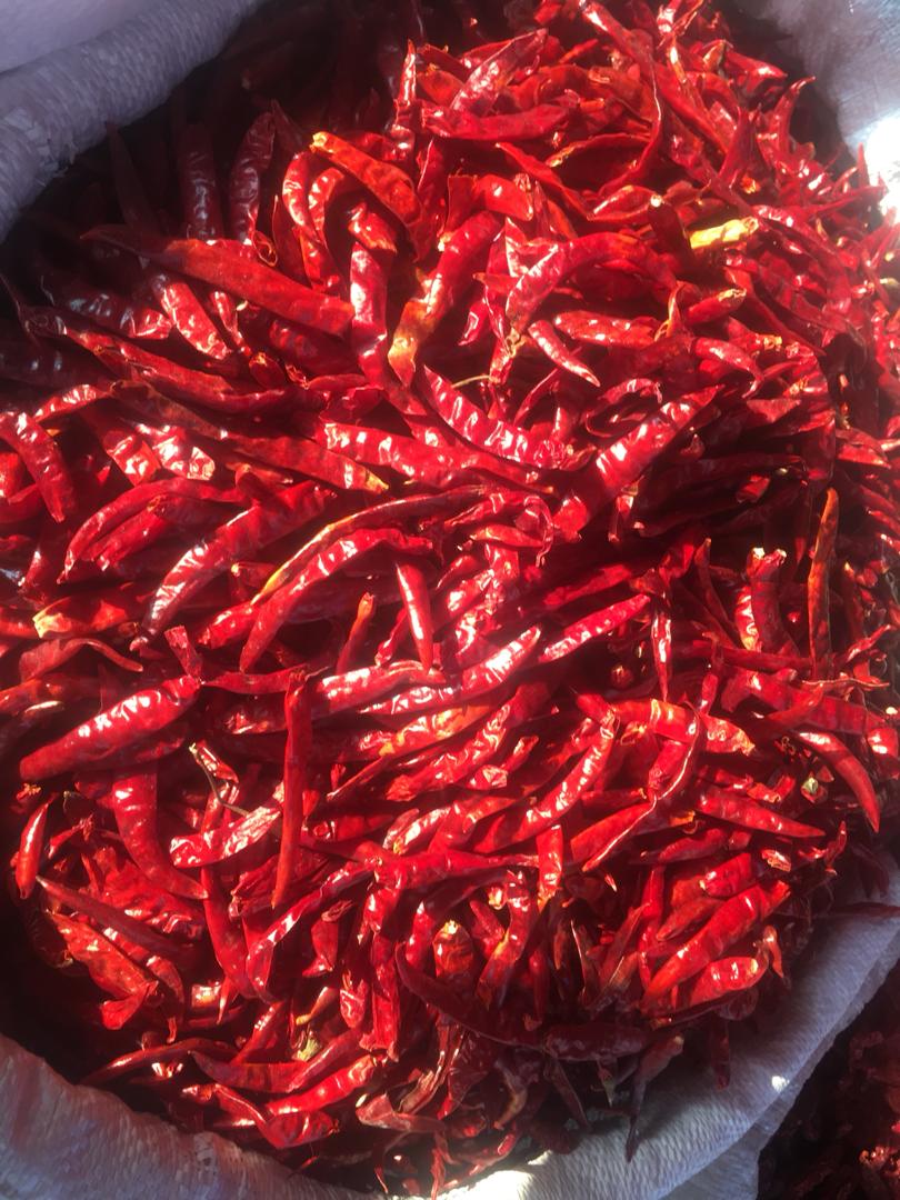 Rwandafresh's tweet image. GOOD NEWS: @Diego_Twahirwa, the founder and owner of @GashoraFarm has signed a 5-year agreement with the Chinese GK International Enterprises to supply 50,000 MT of dry Chili worth USD 100 million every year. Congratulations 🤝 to him. #Rwanda-n Chili exports surely looking up!!!