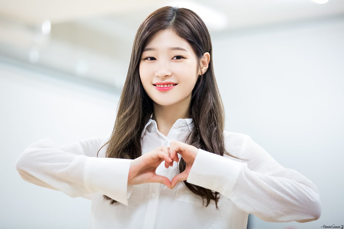 오늘도 채연한 하루 tweet media