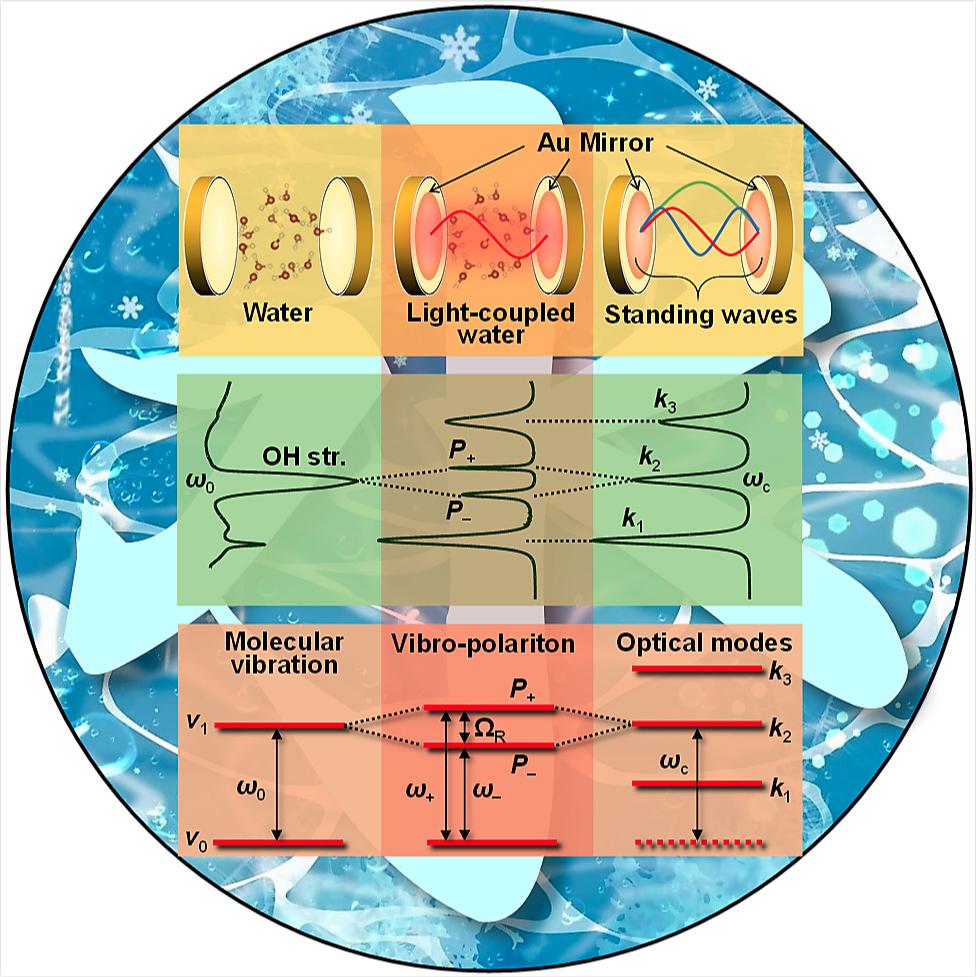Vibrational Ultra Strong Coupling of Water and Ice by Hidefumi Hiura, Atef  Shalabney & Jino George https://t.co/aGwPqWgZ1u