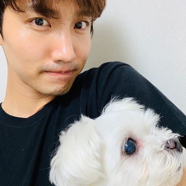 Innolife イノライフ 東方神起チャンミン 伴侶犬と かわいさ 対決 大型犬のような愛らしい魅力 T Co J14qbu5rig 東方神起 チャンミン Tvxq 동방신기 최강창민 T Co Obiau9orij Twitter