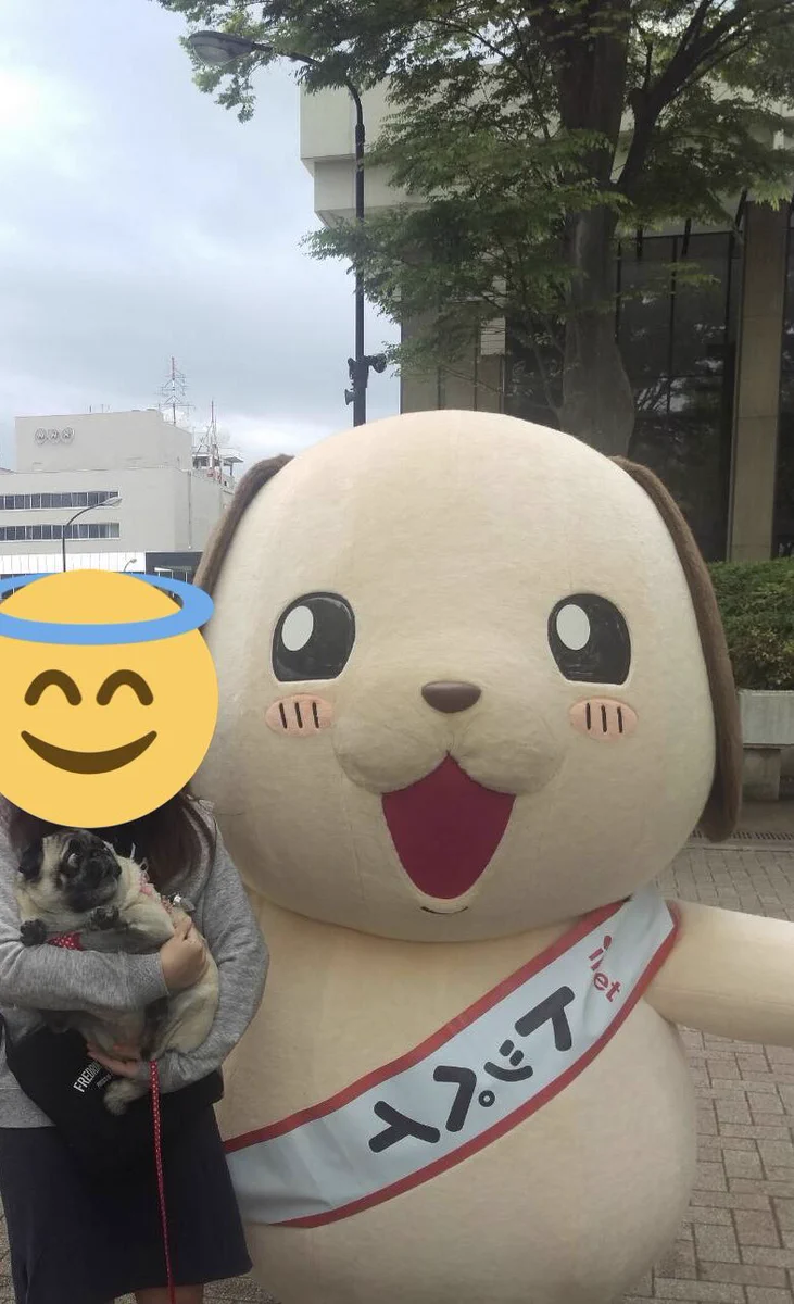 犬もびっくりしてしまう？着ぐるみを初めて見た犬の反応www