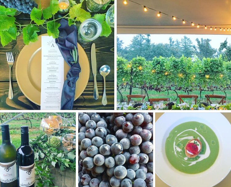 Heather McGillivray (@hmcgillivray) on Twitter photo A beautiful early autumn evening <a href="/SingletreeWine/">Singletree Winery</a> celebrating the new @TourismAbby brand 🍇#Acultivatedcity #handmadehomegrownabby #exploreabbotsford #explorebc A beautiful early autumn evening <a href="/SingletreeWine/">Singletree Winery</a> celebrating the new @TourismAbby brand 🍇#Acultivatedcity #handmadehomegrownabby #exploreabbotsford #explorebc