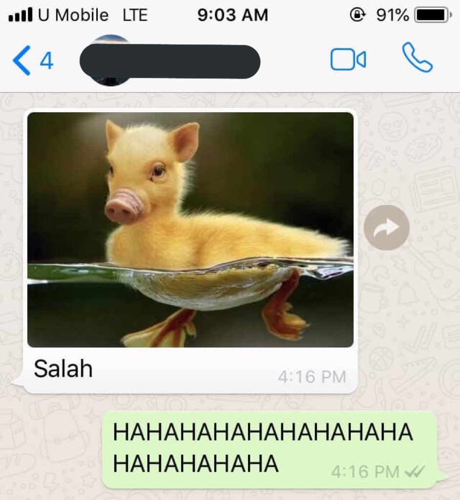 Tnekhey Amir Kaki Anjing Tnekhey Amir Kaki Anjing