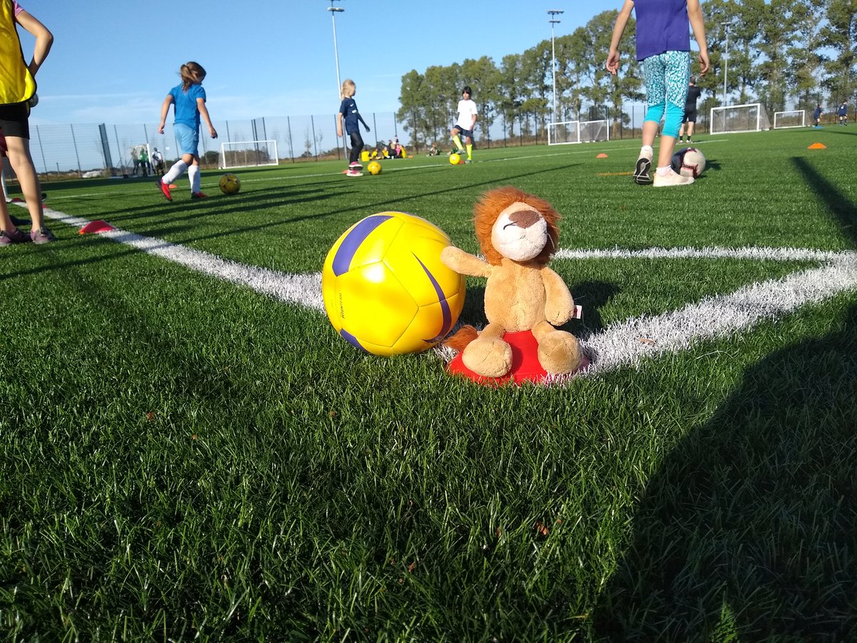 These Wildcats are back with Wilma who they take home each week. <a href="/SuffolkWAYS/">SuffolkWAYS</a> Wildcats meet every Friday in Bury St Edmunds from 4pm-5pm. Contact ways@suffolkfa.com for more details.