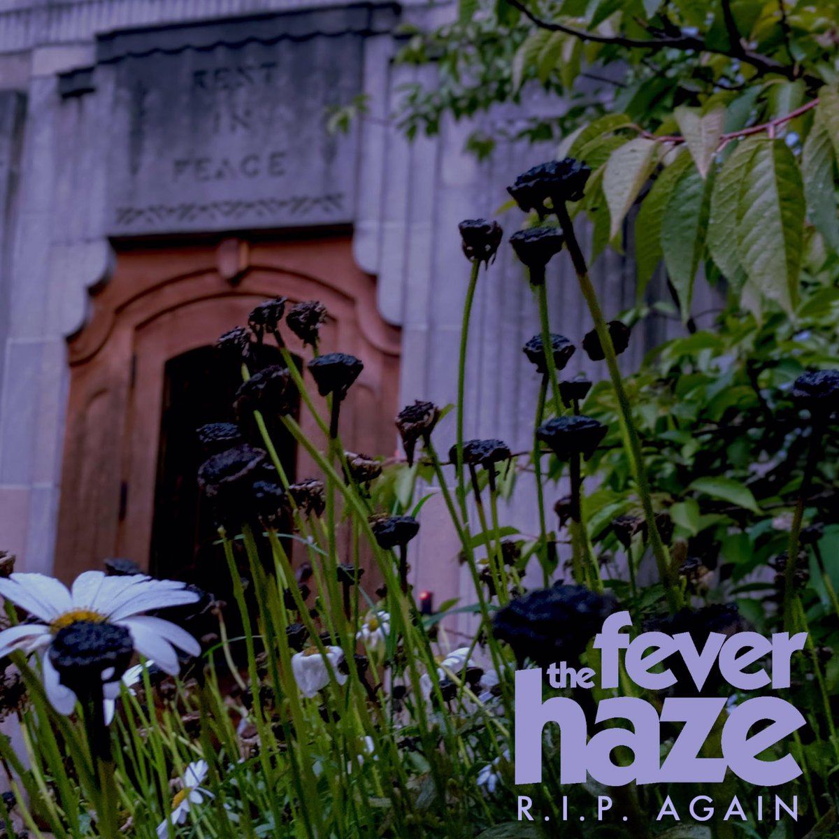 TheFeverHaze's tweet photo. #RIPagain
https://t.co/iMnT3HFXBs https://t.co/Ai9xTbUnED