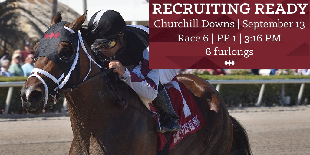 SagamoreRacing's tweet image. 5YO Recruiting Ready (Algorithms - Need) takes on Race 6 today at @ChurchillDowns! Let's go RR!! #SagamoreRacing #RecruitingReady