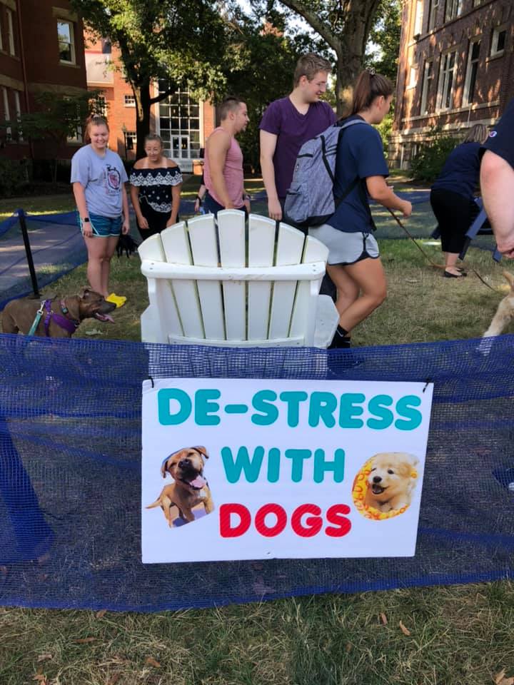 ARCatMC's tweet image. It's happening!!! DeStress with Dogs until 1:00. We partnered with @MariettaDining for this event. "Don't Freeze Up" on your quizzes and exams. Come see us for academic help, and enjoy your cherry, strawberry, or lemon freeze complements of Parkhurst. #ARCisTHEplacetobe