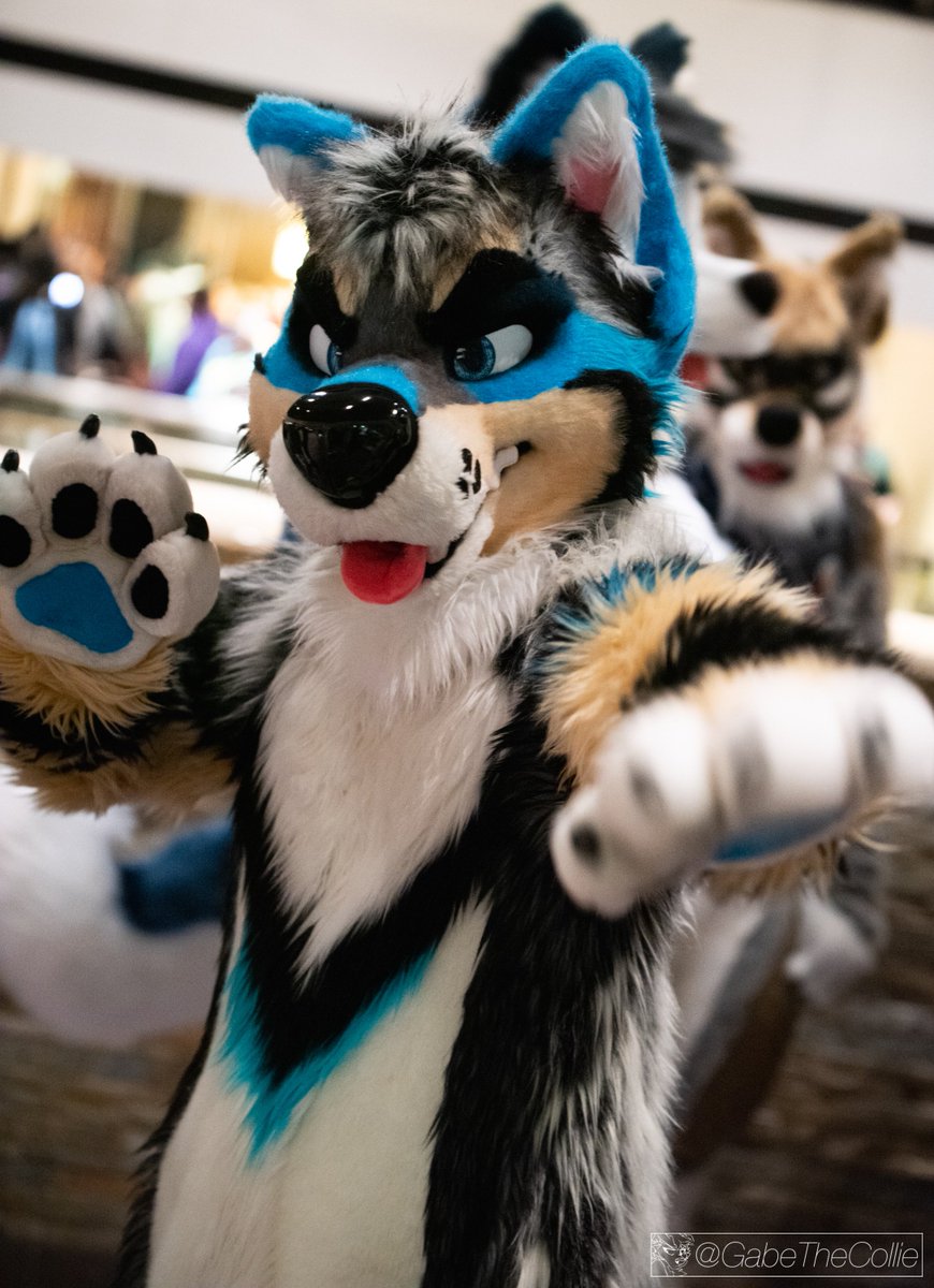 Let him take your paws~ #FursuitFriday #OhManuel