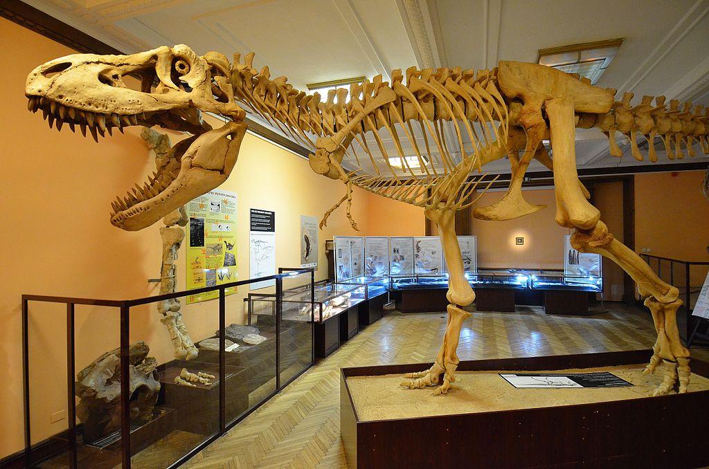 DinosaurBrendan's tweet photo. Happy Fossil Friday! Have nice weekend, everyone! #Carcharodontosaurus #Pentaceratops #Andesaurus #Tarbosaurus https://t.co/6YADX2w6Xx