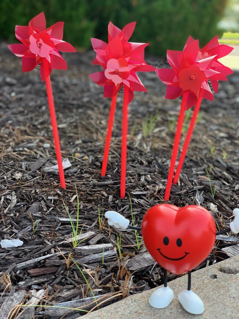 AHAKansas's tweet photo. #Heartyandme are so excited for the #TopekaHeartWalk tomorrow! We can't wait to see these pinwheels come to life, as we honor those we've lost and celebrate all heart and stroke warriors joining us. https://t.co/oyjm7uf5Lm https://t.co/kSZuLtIe2o