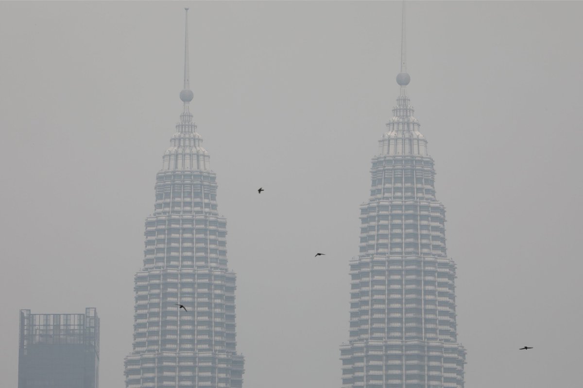 Groundhog day: Vast areas of Malaysia, Singapore and Indonesia blanketed in smoky and dangerous #haze since Sept 5 because of 1,000 Indonesian rainforest fires started by illegal land clearing for palm oil plantations

buff.ly/2AixC4U #climate #deforestation