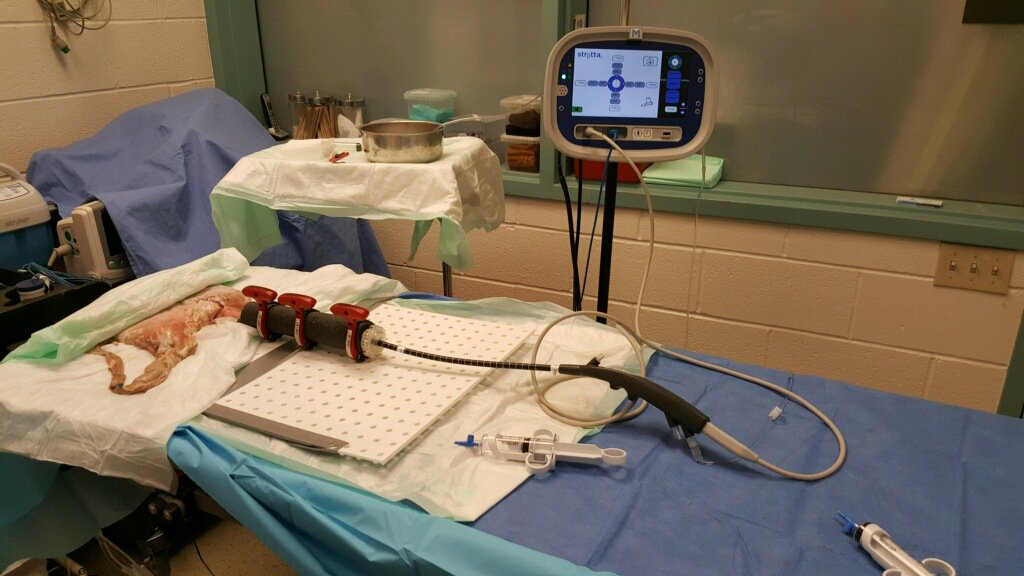 StrettaTherapy's tweet photo. All set up for the 2019 SAGES Flexible Endoscopy Course for Fellows! #strettatherapy #rethinkreflux
 
https://t.co/HsSTlnOuQo https://t.co/cUepLCuRAU