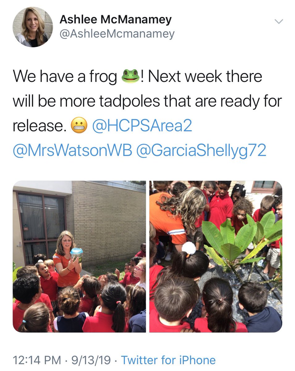 HCPS Area 2 tweet media