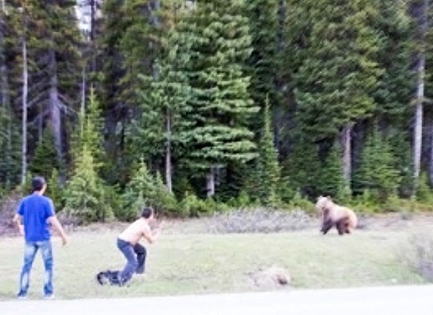 rmoutlook's tweet photo. Man who tried to fight grizzly bear in Banff National Park fined $4,000 https://t.co/Ni8eHBQoTq https://t.co/kMsRbbiDxG