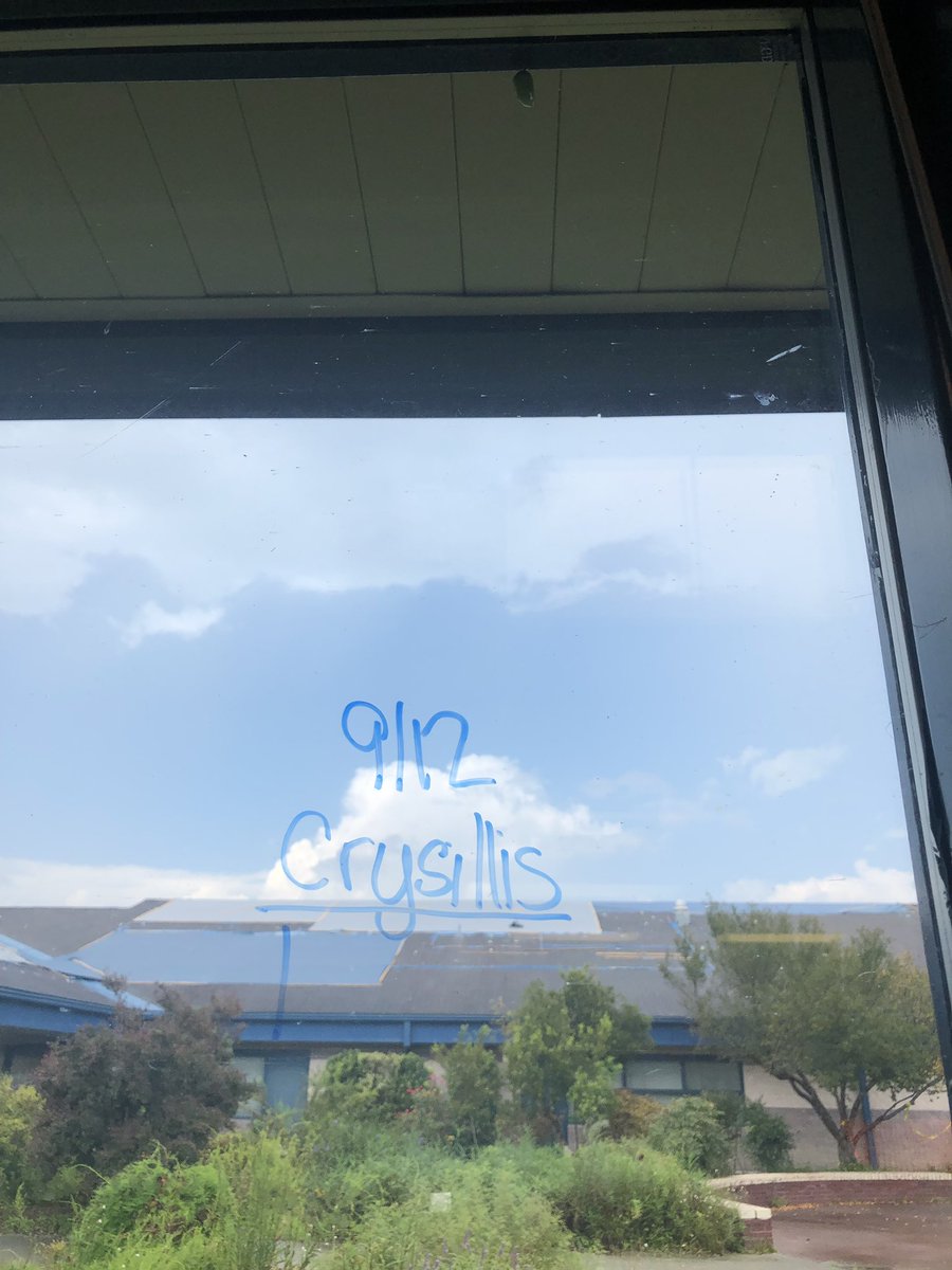 Mrs. Stewart’s class is learning about the monarch butterflies