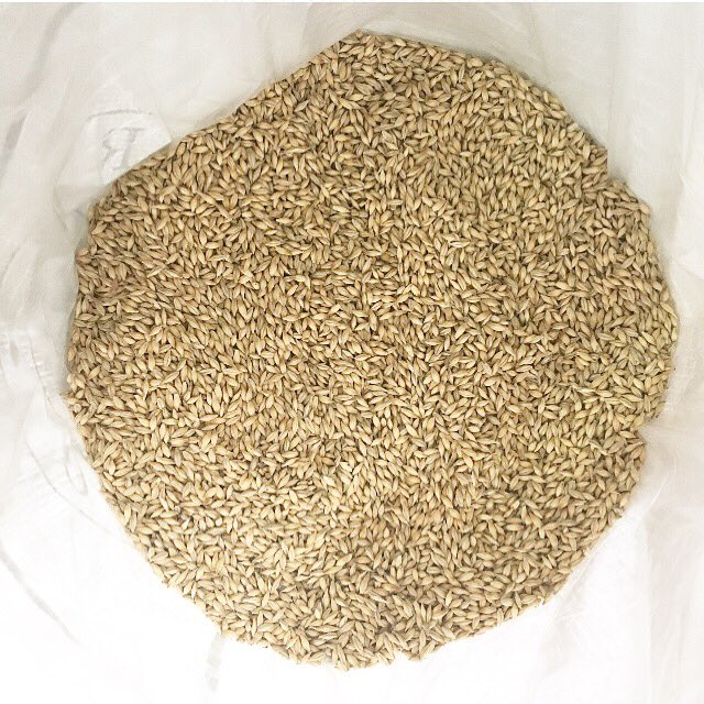 This is the first bag of the first batch of our delicious floor malt made with barley from this year’s harvest. 2019 gave us this locally grown (as always) beautiful, plump barley, providing us with a great canvas to produce our flavourful malts