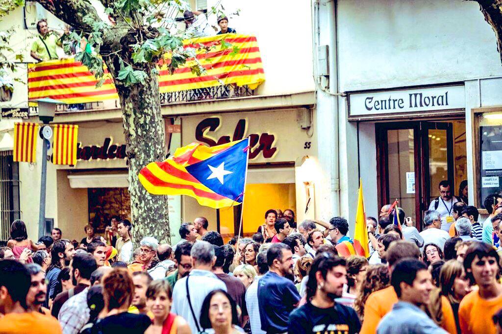 Primàries Catalunya tweet media